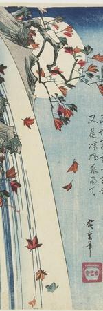 Moon Through Leaves, C. 1832 - Giclee Print, 8x24