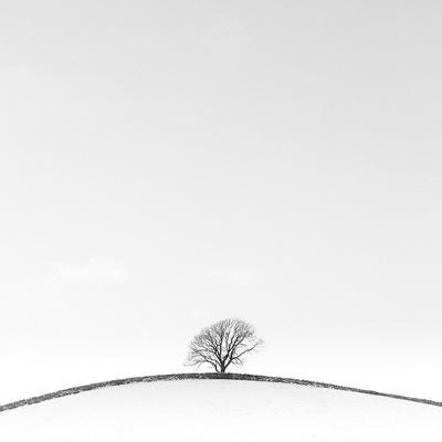 On the Crest - Photographic Print, 16x16