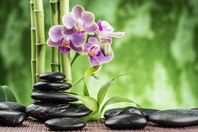 Spa Concept with Zen Basalt Stones ,Orchid and Bamboo - Photographic Print, 18x12