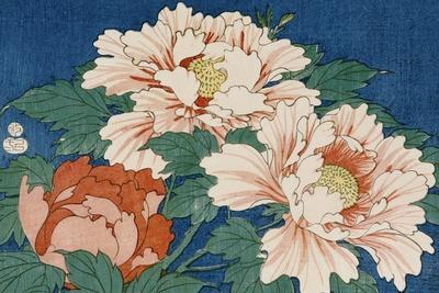 Three Stems of Peonies on a Blue Background, 1857 - Giclee Print, 18x12