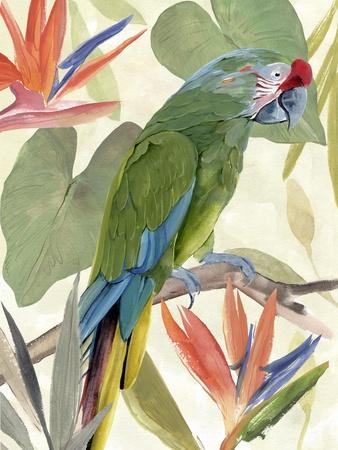 Tropical Parrot Composition I - Wall Art Print, 12x16