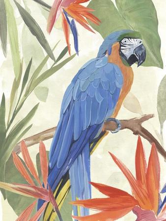 Tropical Parrot Composition IV - Wall Art Print, 12x16